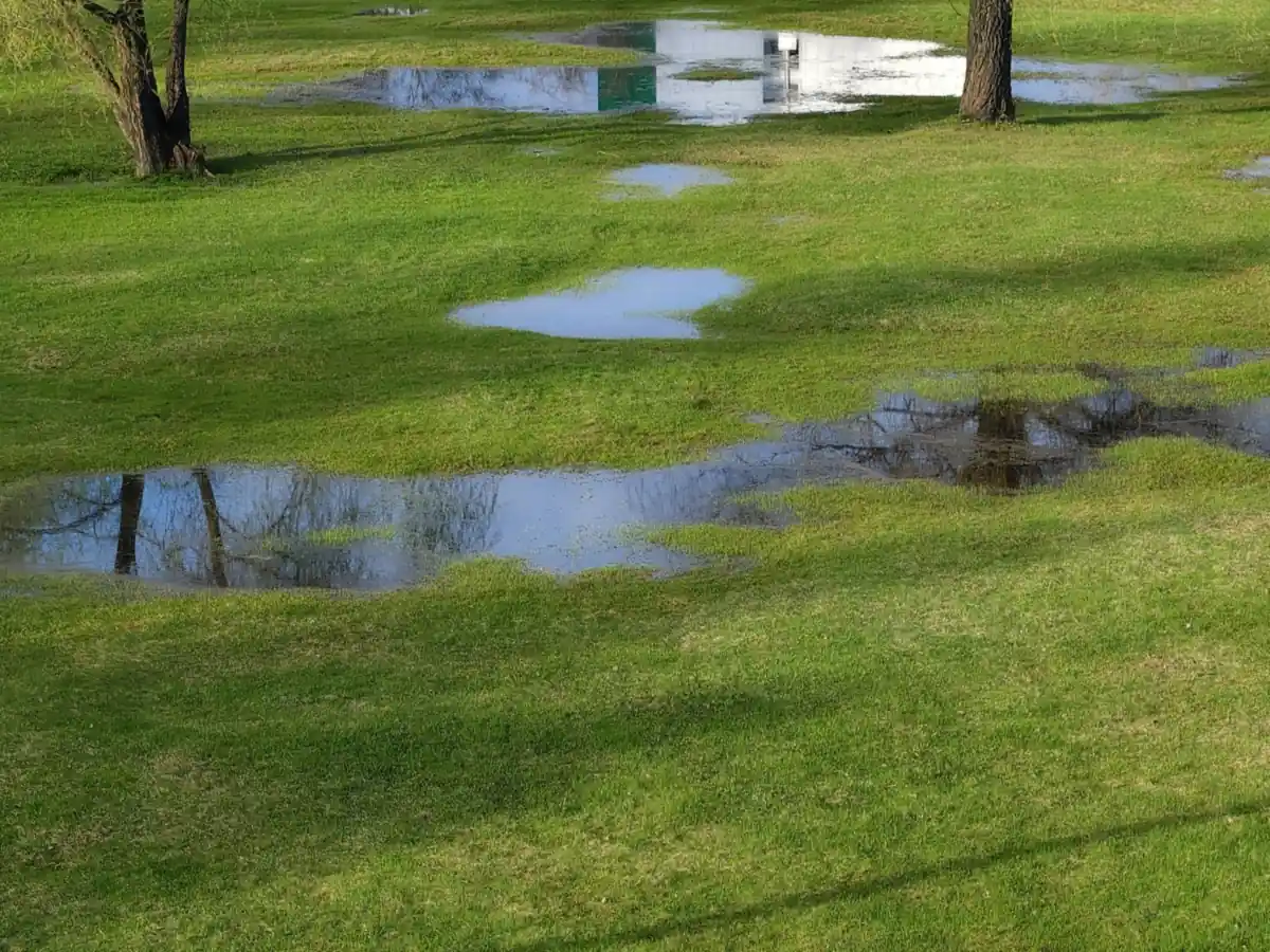 Standing water and puddles in a residential Nashville yard after heavy rain